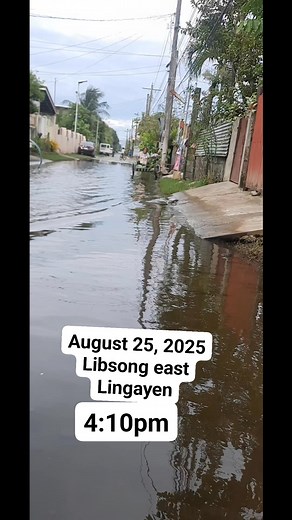 #delap | Cecilia R de Vera