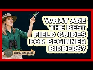 What Are The Best Field Guides For Beginner Birders?