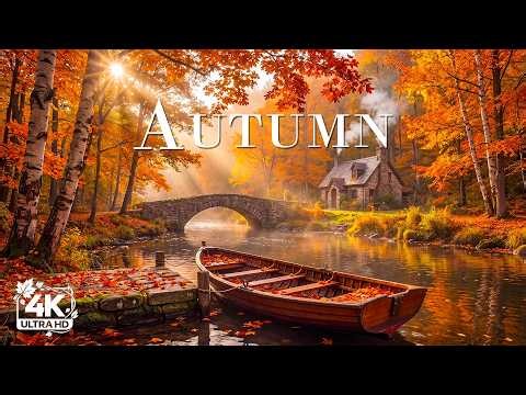 Enchanting Autumn Forests with Beautiful Piano Music🍁4K Autumn Ambience & Fall Foliage