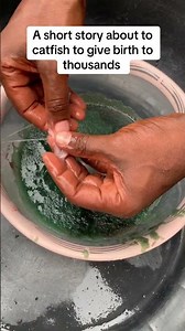 Catfish Hatchery the process #catfishfarming #fish