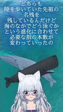 【骨の秘密】クジラのヒレの中、グループによって「指の本数」が違うって知ってる？ #13737live #vtuber #新人vtuber
