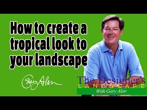 How to create a Tropical landscape in your yard Designers Landscape#612