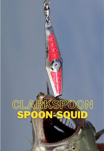 The Clarkspoon Spoon-Squid in action! Clarkspoons are a highly proven fishing lure for both salt and freshwater fishing. They are fast-acting, diamond shaped lures that make life-like motions and light reflections to attract a variety of game and predatory fish. The Clarkspoon Spoon-Squid, with a ball bearing swivel, is an upgraded spoon from the original Clarkspoon. The ball bearing swivel helps reduce line twist while trolling the spoon, providing a tighter revolution in action and presence to