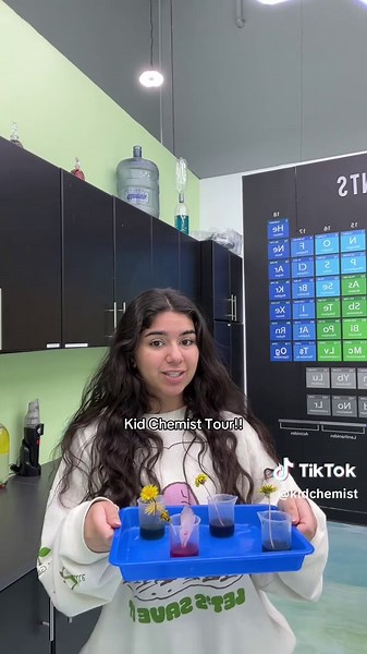 Kid Chemist Tour: Discover Science Fun in Michigan