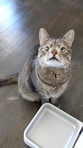 86K views · 9.8K reactions | Maya is a very talented actress. When...