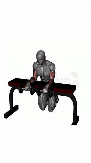 Seated Dumbbell Wrist Curl - Perfect Form Guide #shorts