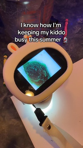 Easily the coolest science activity to keep your kiddo busy and learning this summer #kidsactivities #microscope #science #kidstoys #stem #momtok #sahm #kidsmicroscope #magnifyingglass | Brokenfrenchfries
