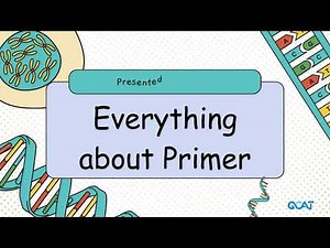Everything about Primer #1