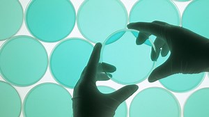 Science In Action - Soil Microbes involved in Global Warming - BBC Sounds