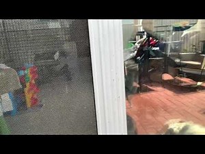 Cleaning fly poop off window frames with ENJO Outdoor Fibres
