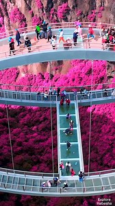 632K views · 19K reactions | የስደናቂው የሩዊ ድልድይ #Ethiopia #Habesha | Explore Habesha | Facebook