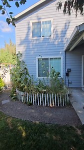 19K views · 2.3K reactions | We just finished building this large,...