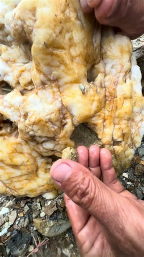 gold prospecting 2025, Finding gold in sand, gold prospecting for beginner