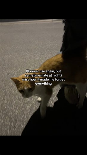 J☆Z (@guardedgolden)’s videos with som original - maria