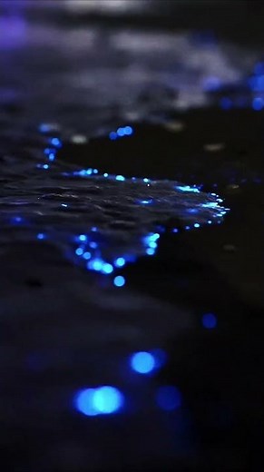 Bioluminescence 🩵 An amazing natural phenomenon where living organisms produce and radiate light!