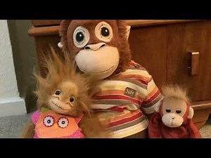 My Orangutan Collection: what size clothes fit IKEA plush orangutan, Jilly Baby Orangutan, TY Beanie