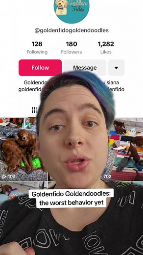 Unethical Goldendoodle Breeder Exposed: Golden Fido's Lies