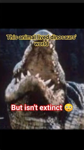 This Animal Survived T-Rex 😳🐊