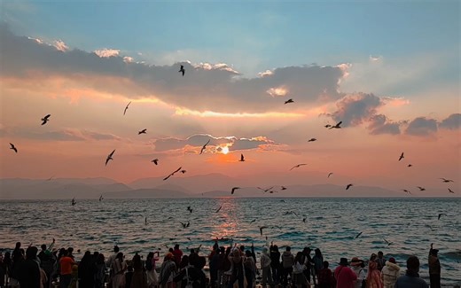 《珊瑚海》里的海欧日出！此生必去"龙龛码头"