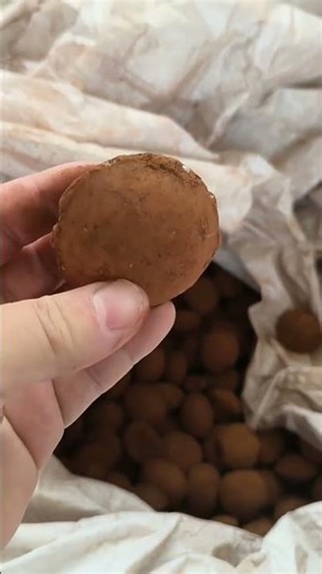 Multi-functional briquette machine with a wide range of applications