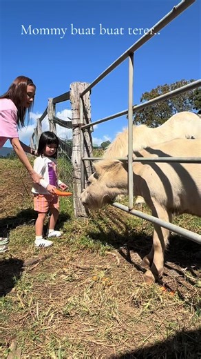 Perbezaan dalam Pertikaian - Scha Alyahya dan Mommy