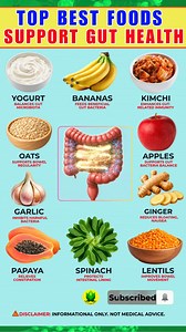 ✅ 10 Best Foods for Gut Health & Digestion Your gut plays a vital role in digestion, immunity, and overall health. In this video, you’ll discover 10 gut-healthy foods rich in probiotics, prebiotics, fiber, vitamins, and bioactive compounds that help support digestion and balance your gut microbiome naturally. These foods may help improve nutrient absorption, reduce bloating, improve digestion, keep your gut balanced, and promote regular bowel movements—when combined with a healthy lifestyle. 10 