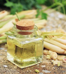 17 Lemongrass Essential Oil Benefits & Possible Side Effects