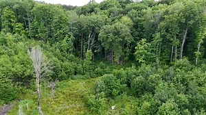 Michigan Hunting Lease Now Available on HLRBO Gogebic County, MI • 31 Acres If you’ve been wanting a little slice of the U.P. to yourself, this 31-acre Gogebic County tract is worth a look. Mix of timber, wetlands, and open fields gives you a ton of edge and natural travel routes in a true wilderness setting. You’ll have chances at deer and bear, plus small game and furbearers like rabbit, squirrel, and raccoon. Upland hunters can chase grouse through the cover, and the varied terrain sets up we