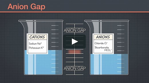 Davis Advantage- Fluid, Electrolyte, and Acid-Base Homeostasis- Acid-Base Balance