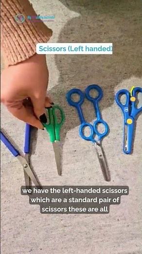 Scissors (Left handed)
