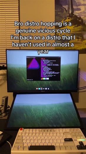 #linux #larp #distrohopping #opsec #viciouscycle