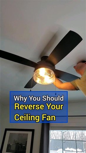 Why you should Reverse Your Ceiling Fan #hometips #diy #homehacks #home