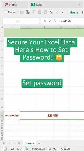 How to Set Up and Hide Excel Data with Password Protection