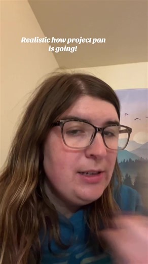 Realistic Update on My Project Pan Journey