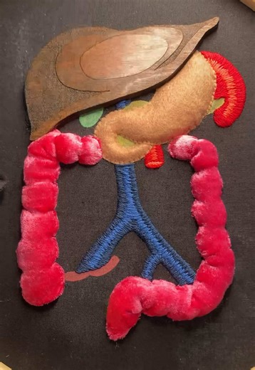 Doing some 3D appliqué bits and adding some laser cut goodness for the extra texture ❤️ it’s so fun playing with all the textures and effects that are possible in embroidery and mixed media pieces, the options are endless! Also this is a digestive system btw, needs beadwork next