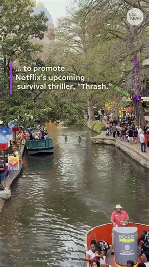 See what was swimming at the San Antonio River Walk