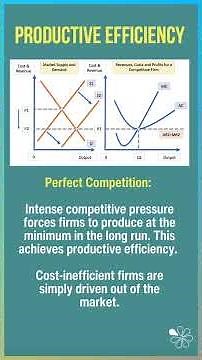 Perfect Competition vs Monopoly I 60 Second Economics
