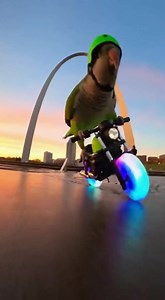 1.2K views · 16 reactions | Parrot Rides Motorcycle Like A Pro! #ParrotLife #MotorcycleParrot #TalentedPets #AnimalTricks #ViralParrot | Talking Parrot | Facebook