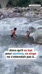 Les héros du jour 💚 #ecologie #environnement #animal #animallovers | Merci pour l'info Jo