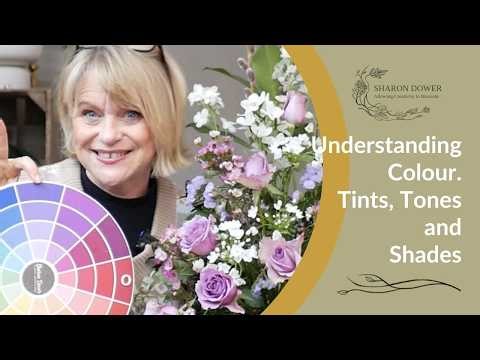 Do you know about Tints, Tones and Shades of Colour