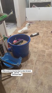 Rants & UTK heat relief @UTK far infrared heating #fyp #utk #relief #... | Busterrthecockatoo