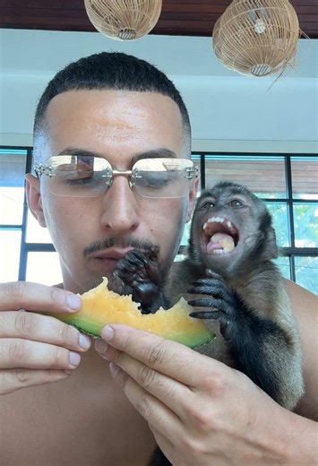 Vidéos de Tarzan DZ 🦍 (@tarzandz_) avec NSMB Desert Theme - MARIO MUSIC!