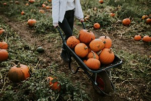 8 Delaware Pumpkin Patches to Visit for Fall Festivities