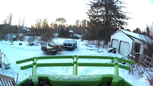 How exciting! Ashley gave Dave a birdfeeder with a camera for Christmas. He got his first bird this morning! | Four Winds Farm Maine