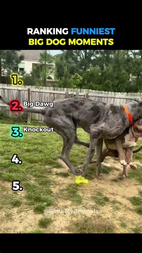 DON'T CLICK THE SOUND 😭☠️