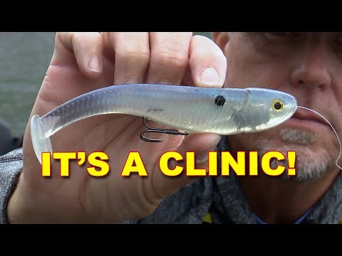 Pro Soft Swimbait Strategies For GIANT Bass!