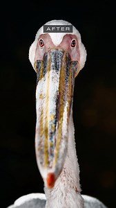 14K views · 1.3K reactions | Photo Editing Tips ↓ • Shoot & Edit ✍...