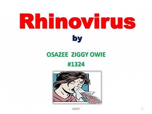 Rhinovirus by - SlideServe