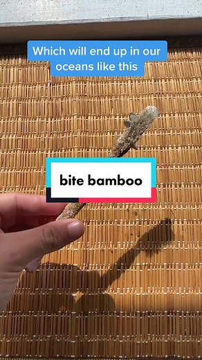 Eco-Friendly Bamboo Toothbrush | Plastic-Free Travel Essential