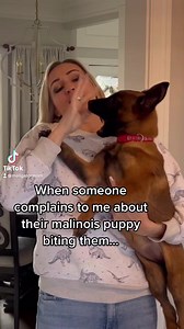 Malinois puppy biting reaction. #dog #puppy #malinois | MaligatorMom
